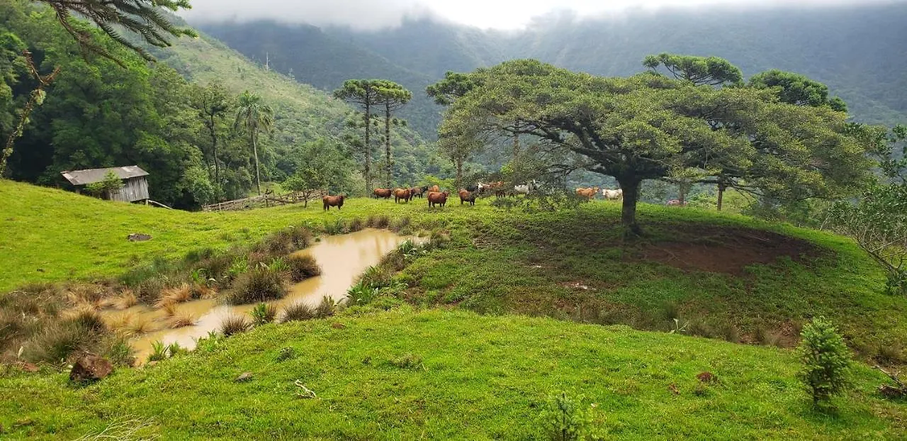 Chale Da Pedrinha Vila Volta Grande  0*, Volta Grande (Santa Catarina) Brasil