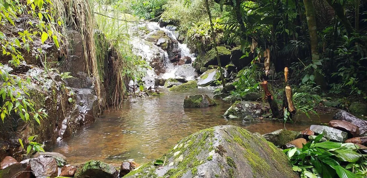 Chale Da Pedrinha Vila Volta Grande  Volta Grande (Santa Catarina)